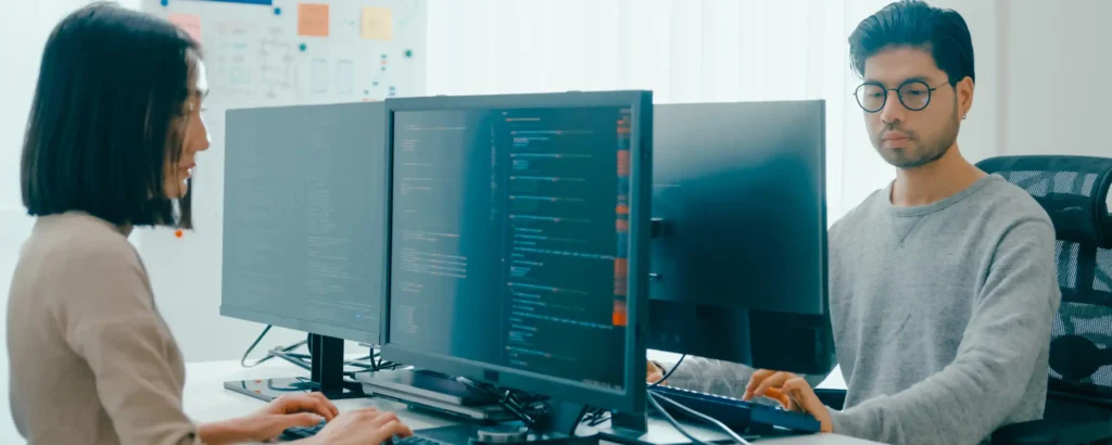 IT & Software Development