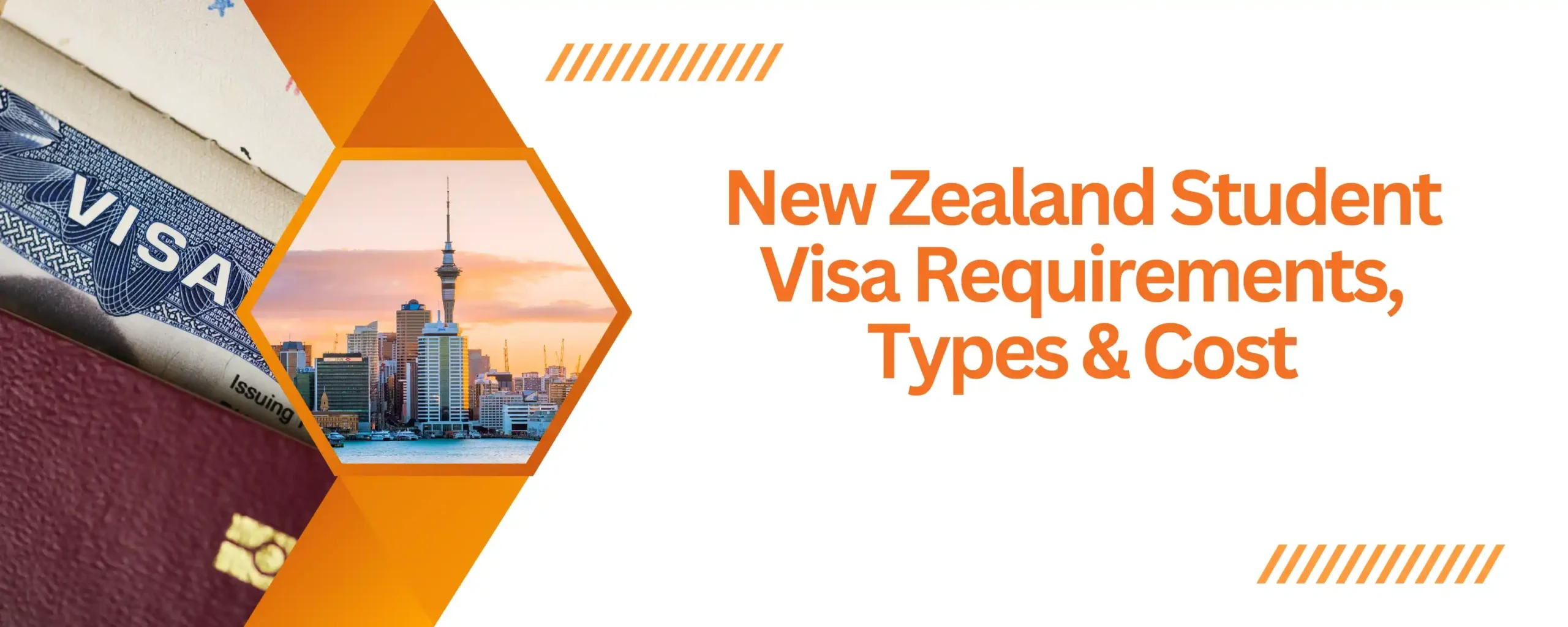 New Zealand Student Visa Requirements, Types & Cost